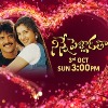 Iconic Love Story “Ninne Pelladatha” on Star Maa