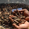 13 live bullets recovered from woman passenger at Vizag airport