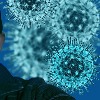 Isolated populations in India vulnerable to Covid-19, says study