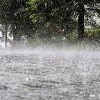 Heavy Rains In Andhrapradesh lashed many Areas