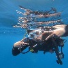 Priyanka Chopra gets wet in scuba diving pics