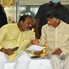 TDP Will Bag The Power Whenever Elections be Conducted Says Achennaidu