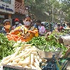 As onion rates dip, tomato, capsicum, brinjal soar high in Delhi