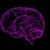 Lab-grown 'mini brains' to pave way for dementia treatment