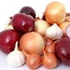 Mexican onions causes Salmonella decease in Americans