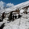 12 Trekkers Dead In Uttarakhand