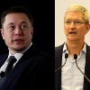Musk trolls Cook over Apple's $19 cleaning cloth