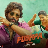 Pushpa Movie Update