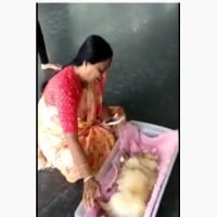 Konda Surekha lost her pet dog