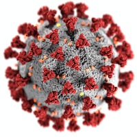 Scientists identify new antibody for Covid-19 and variants