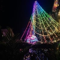 Wow! Now, India's tallest Christmas Tree dazzles even on Diwali