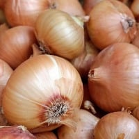 govt on onions rate