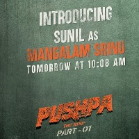 Pushpa movie update