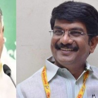 Take action against minister peddireddy and dravid university vc ask tdp mlc