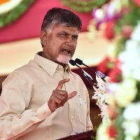 Chandrababu demands stoppage of Nellore corporation elections