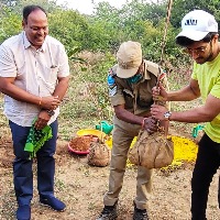Dulquer Salmaan takes part in Green India Challenge