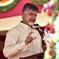 Chandrababu responds on local body elections