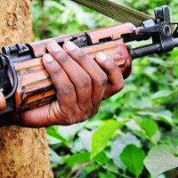 5 Maoists dead in encounter in Maharashtra
