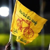 TDP Writes Letter to AP SEC on municipal Elections