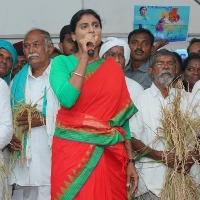 YS Sharmila targets Municipal Minister KTR