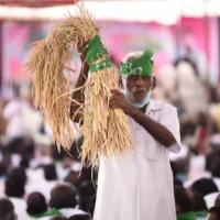 Politics over paddy procurement add to Telangana farmers' dilemma