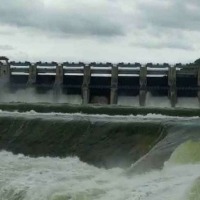 Somashila Dam Is Safe Says Nellore Joint Collector