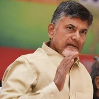 Chandrababu held meeting with TDP MPs ahead of Parliament winter sessions