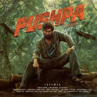 Pushpa movie update