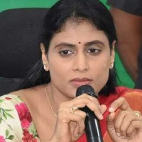 sharmila slams kcr