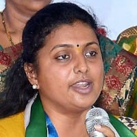 Will file case against Indigo says Roja