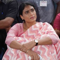Growing paddy is farmers' right: YS Sharmila