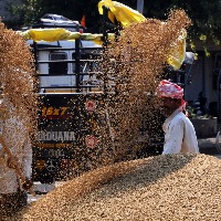 Telangana insists on written assurance from Centre over paddy procurement