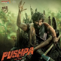 Pushpa first week collections