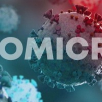 No 'Delmicron' virus yet, time to fight Omicron: Health experts