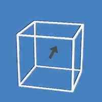 Optical Illusion Cubes Definitely Make You Aww