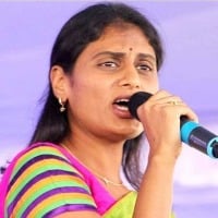 YS Sharmila responds to Somu Veerraju liqour statement and KTR reaction 