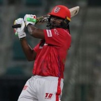 West Indies board not selected Chris Gayle for t20 team