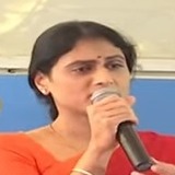 sharmila slams kcr