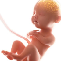 Pandemic may affect infants brain development