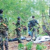 Four naxals died in encounter at Telangana and Chhattisgarh border