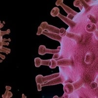 Corona virus no more Pandemic in future said IHME