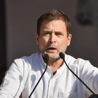 Modi Government Committed Treason Rahul Gandhi On Pegasus Reports