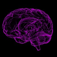 IISc scientist brings out material that can help computers mimic human brain function