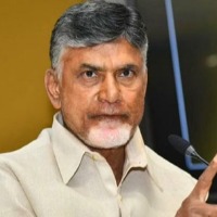 Chandrababu Fires on Ap Govt over NTR District