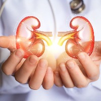 Obesity ups kidney disease risk: Study