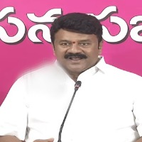 Talasani comes in support for CM KCR over constitution change issue