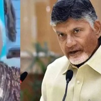 Chandrababu Shares Older woman video on vote value