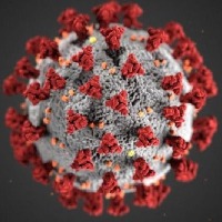 Microsoft co founder Bill Gates warns of another virus threat
