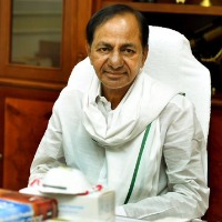 kcr to meet ministers 