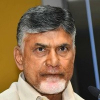 chandrababu comments on YS Viveka murder case